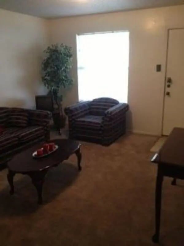 Sofa armchair coffee table plant living room at Baylor Plaza III in Waco Student Accommodation