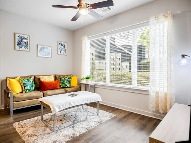 Sofa, rug, coffee table, window living room at Halo 46 Apartments in Tampa Student Accommodation