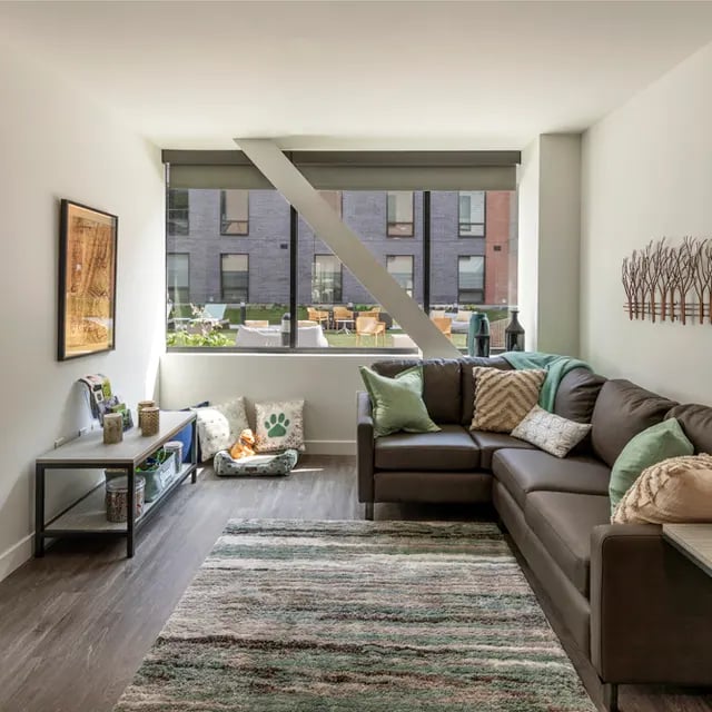 Brown sectional couch rug pillows dog bed living room at 505 on Walnut Apartments in Syracuse Student Accommodation