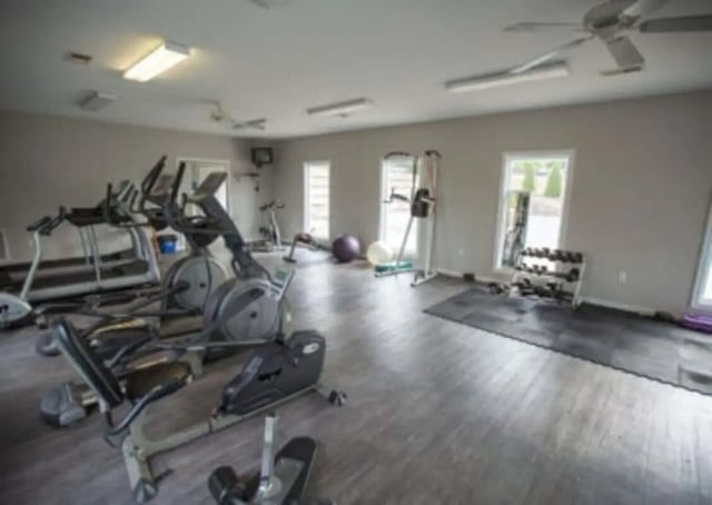 Elliptical treadmills bikes dumbbells yoga ball gym at Ashley Oaks Apartments in Morgantown Student Accommodation