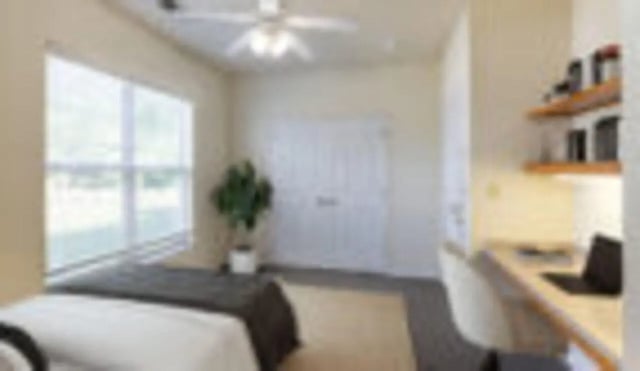 Bed desk plant and ceiling fan bedroom at Cape Trails in Cape Girardeau Student Accommodation