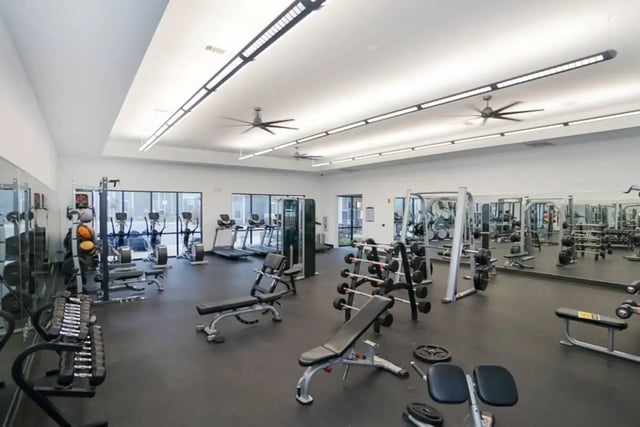 Weight racks treadmills benches and exercise machines gym at The Domain at Columbia in Columbia Student Accommodation