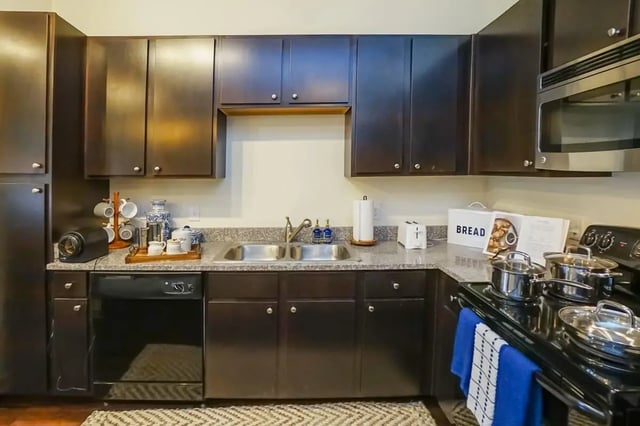 Dark cabinets double sink coffee maker toaster kitchen at The Domain at Columbia in Columbia Student Accommodation