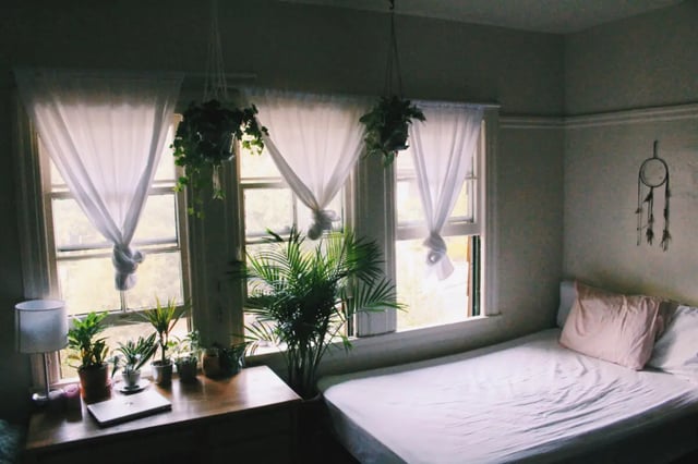 Bed with plants and laptop bedroom at Berkeley Student Cooperative - Affordable Student Housing Co-op in Berkeley Student Accommodation