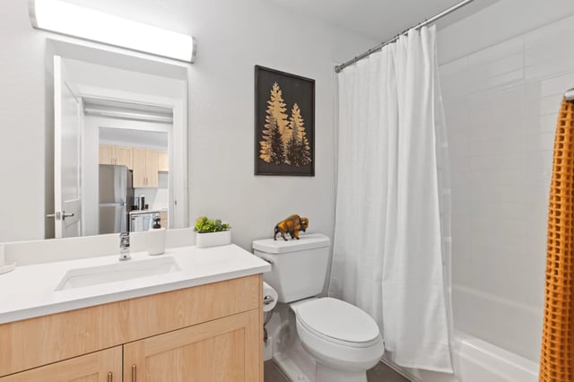 Vanity toilet and bathtub with shower curtain bathroom at Mountainaire Boulder in Boulder Student Accommodation
