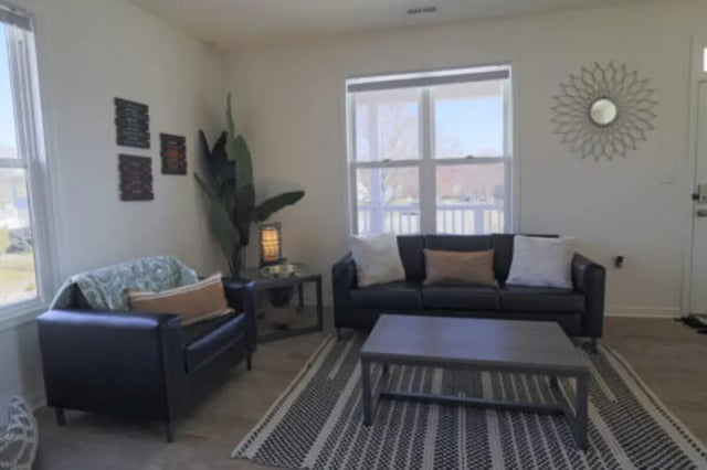Black sofas coffee table rug plant living room at Clemson Village in Clemson Student Accommodation