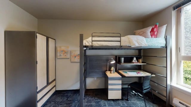Loft bed desk wardrobe art bedroom at 7000 Campus Living Apartments in Shoreline Student Accommodation