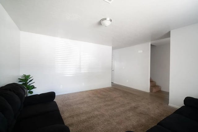 Black sofas green plant carpeted floor living room at 7th & University Apartments in St. George Student Accommodation
