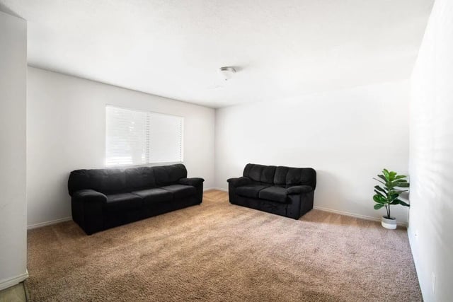 Two black sofas plant carpet living room at 7th & University Apartments in St. George Student Accommodation