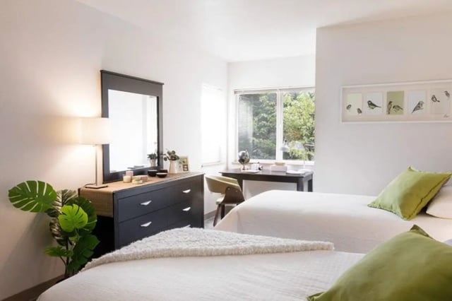 Two beds dresser desk plants art bedroom at Curry Court Apartments in Portland Student Accommodation