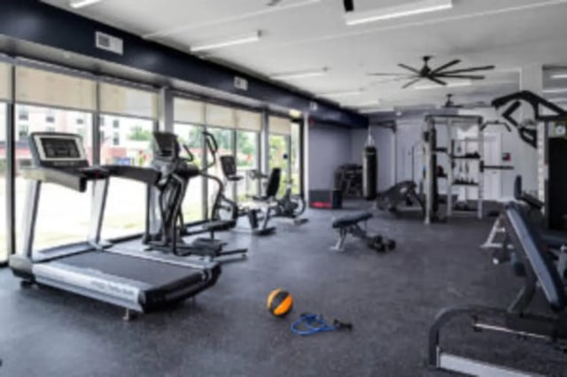 Treadmills elliptical bike punching bag gym gym at Anthem House in Gainesville Student Accommodation