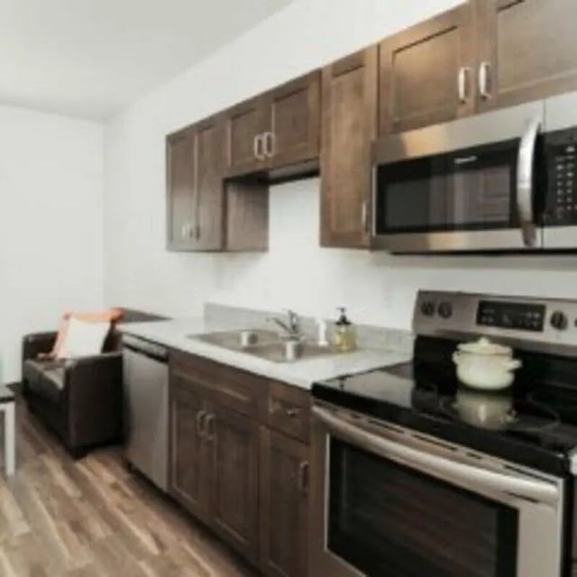 Dark wood cabinets stainless steel appliances sink kitchen at WestEdge in Springfield Student Accommodation