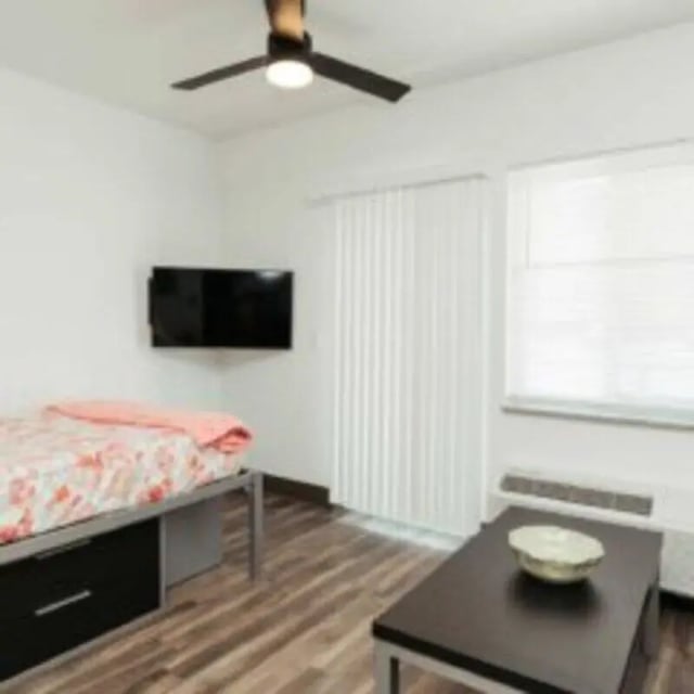 Bed TV ceiling fan and coffee table bedroom at WestEdge in Springfield Student Accommodation