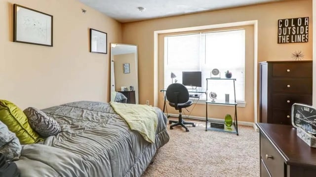 Bed desk mirror dresser and artwork bedroom at 900 on Park Apartments in Carbondale Student Accommodation