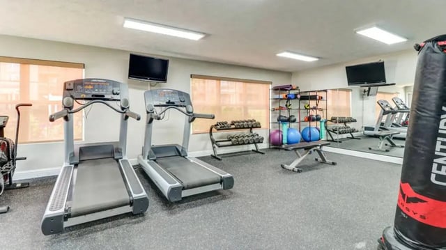 Treadmills dumbbells bench punching bag gym area at 900 on Park Apartments in Carbondale Student Accommodation