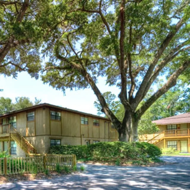 Wooden apartments with stairs under trees exterior at Apartments Near UF in Gainesville Student Accommodation