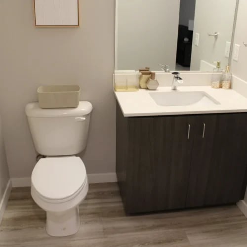 Toilet sink and vanity cabinet bathroom at Ferry Street Flats in Eugene Student Accommodation