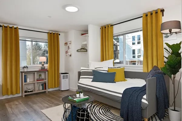 Daybed pillows rug table and plant living room at Juno Studios in Seattle Student Accommodation