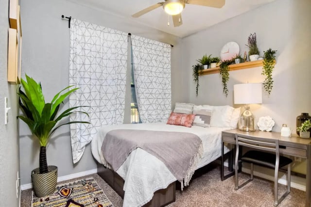 Bed desk plant patterned curtains bedroom at Fifty Twenty-Five Apartments in San Diego Student Accommodation