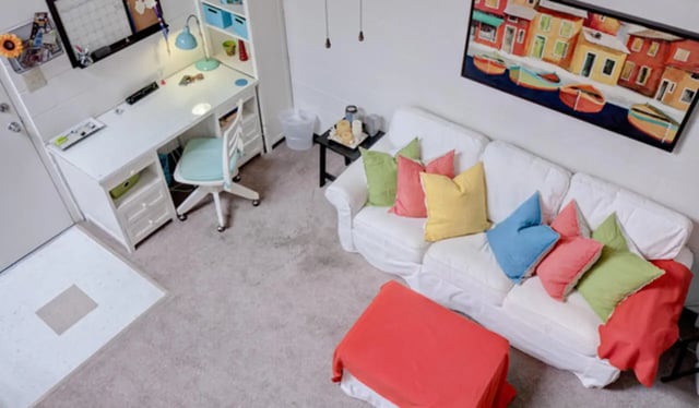 Desk chair couch with colorful pillows and painting living room at Arbor Lofts in Gainesville Student Accommodation