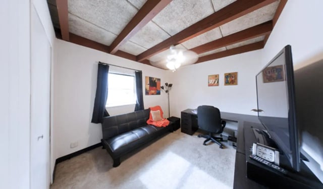 Sofa desk chair TV and ceiling beams Bedroom at Arbor Lofts in Gainesville Student Accommodation