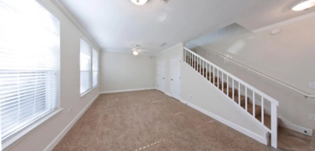 Carpeted living area with windows and staircase living room at Heritage Oaks Luxury Apartments in Gainesville Student Accommodation