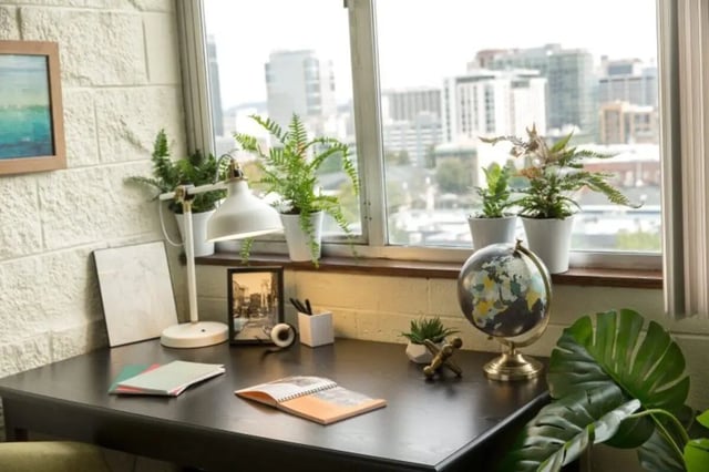 Desk with globe plants and lamp study area at Goose Hollow Tower and Goose Hollow Plaza in Portland Student Accommodation