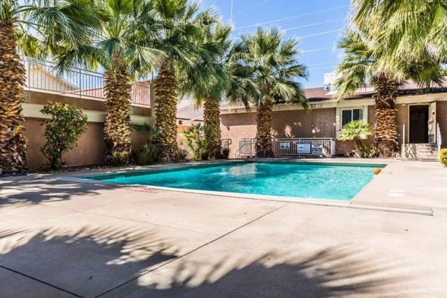 Palm trees surround bright blue swimming pool exterior at Dixie Cove Student Housing in St. George Student Accommodation