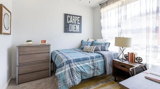 Bed dresser mirror wall art bedside table bedroom at Hawks Landing Apartments in Cape Girardeau Student Accommodation