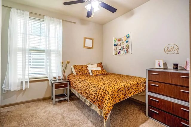 Leopard print bed dresser photos and window Bedroom at The Den Apartments in Berkeley Student Accommodation