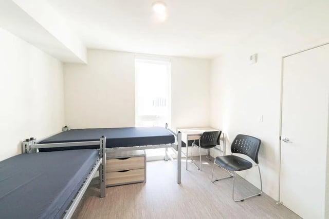 Two bunk beds, desks, chairs, drawers bedroom at The Kittredge in Berkeley Student Accommodation