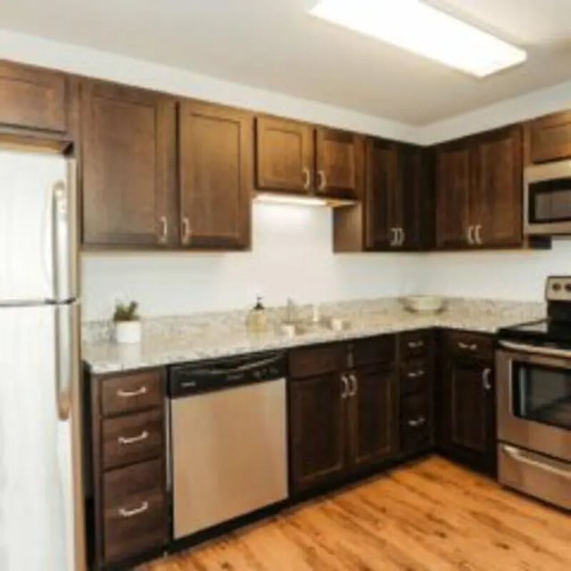 Stainless steel refrigerator dishwasher dark cabinets kitchen at MadisonVue Apartments in Springfield Student Accommodation