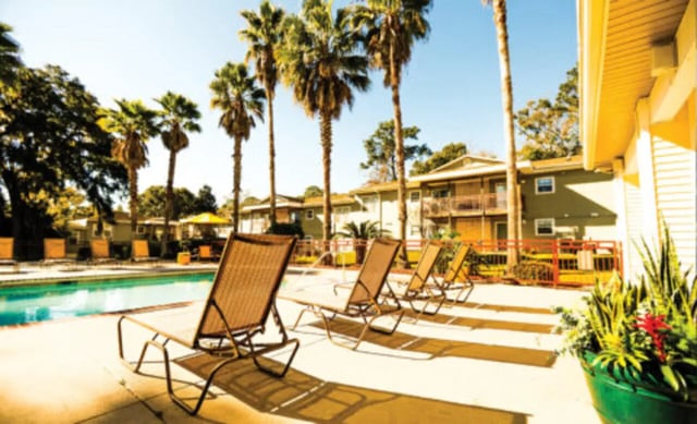 Lounge chairs by pool with palm trees and buildings. at Student Housing Solutions in Tallahassee Student Accommodation
