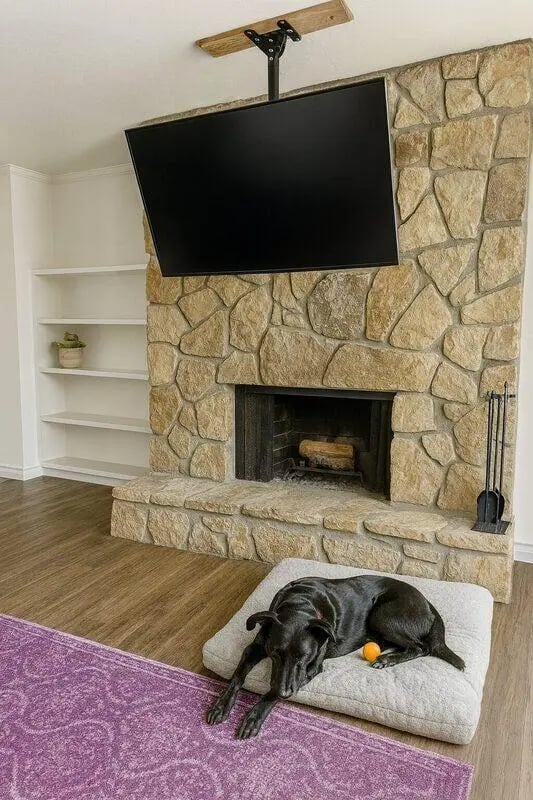 Black dog on bed near fireplace living room at Villa Bella Vista in Tallahassee Student Accommodation