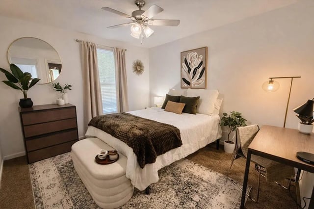 Bed dresser mirror plants bench rug bedroom at Villa Cristina in Tallahassee Student Accommodation