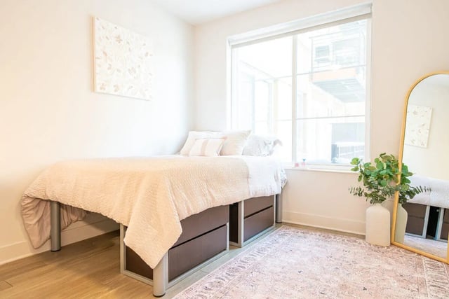 Bed with storage drawers artwork mirror plant bedroom at The Eden Apartments in Cincinnati Student Accommodation