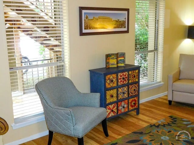 Grey armchair blue cabinet artwork accent chair living room at Barranca Square Student Apartments in Austin Student Accommodation