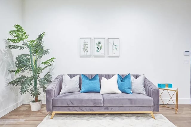 Gray sofa plant framed art white rug living room at 1025 Berendo Villas in Los Angeles Student Accommodation
