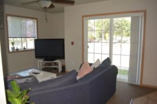 Sofa television and window living room at Biondo Properties, LLC in La Crosse Student Accommodation