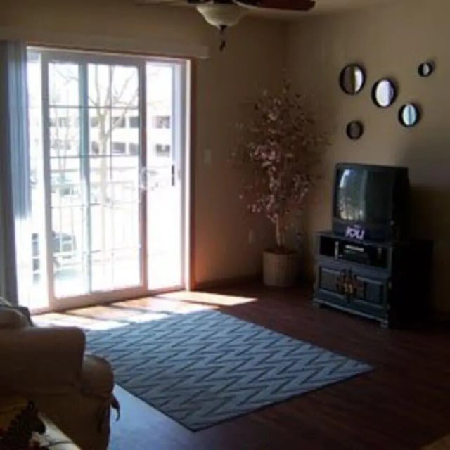 Sliding glass door rug television decorative mirrors living room at Biondo Properties, LLC in La Crosse Student Accommodation