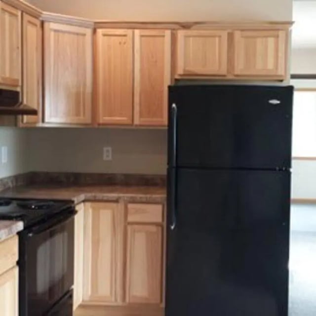 Black refrigerator wood cabinets stove kitchen at Biondo Properties, LLC in La Crosse Student Accommodation