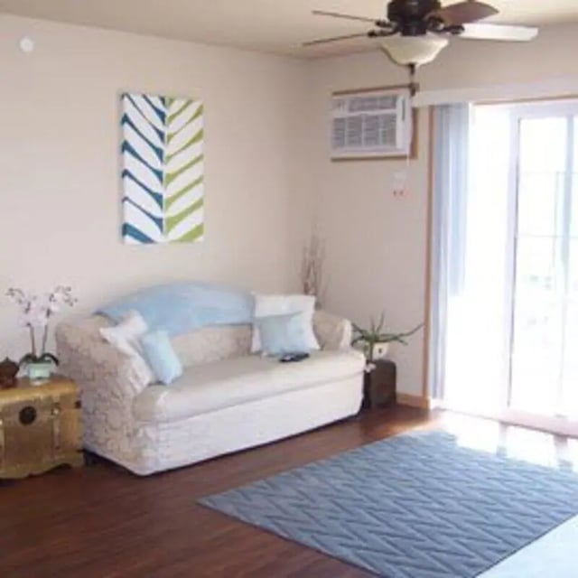 Sofa art air conditioner and rug living room at Biondo Properties, LLC in La Crosse Student Accommodation