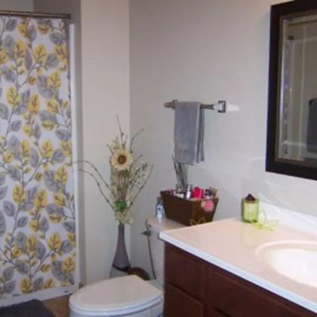 Shower curtain toilet vase countertop mirror bathroom at Biondo Properties, LLC in La Crosse Student Accommodation