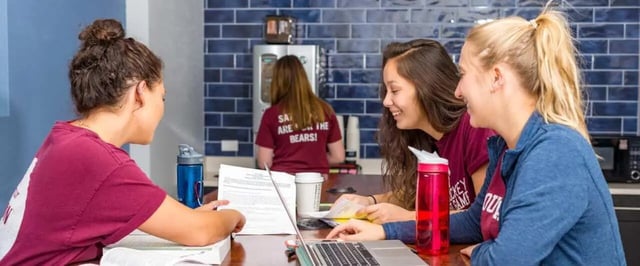 Students studying laptops water bottles and papers common area at Beacon Springfield in Springfield Student Accommodation