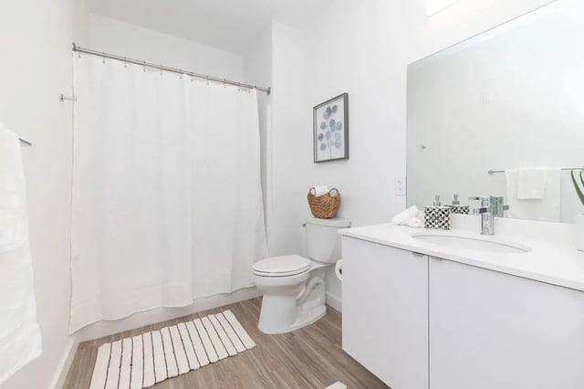Toilet shower curtain and vanity bathroom at 11 East Pleasant in Amherst Student Accommodation