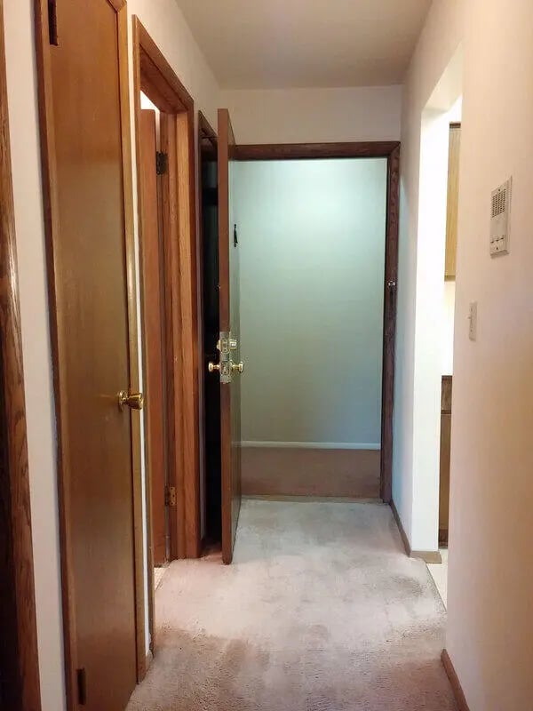 Hallway with multiple doors and carpeted floor hallway at Campus Court in Milwaukee Student Accommodation