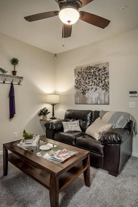 Dark leather couch coffee table ceiling fan painting living room at Eagle Summit Apartments in Cookeville Student Accommodation