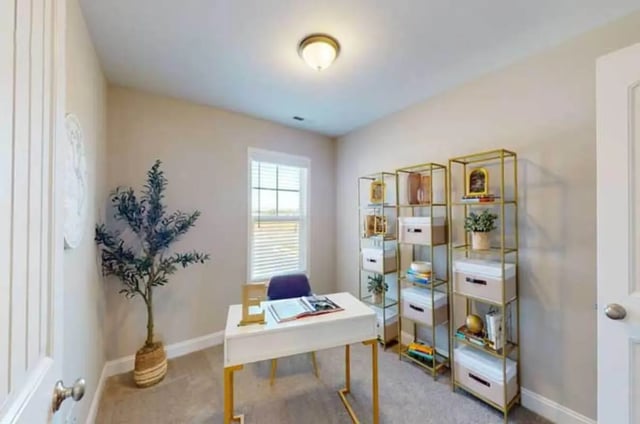Desk plant bookshelves and chair study area at 11 at Main in Winterville Student Accommodation