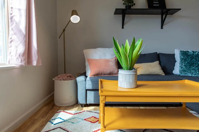 Sofa plant lamp rug living room at 494 Lofts in Boone Student Accommodation