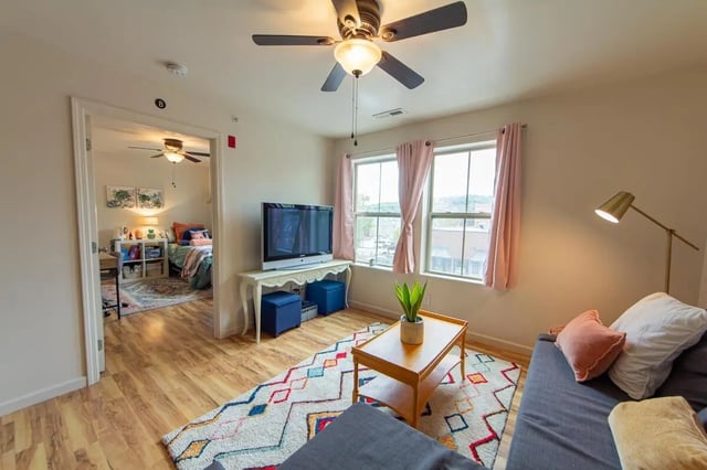Living room with TV couch rug and bedroom beyond. at 494 Lofts in Boone Student Accommodation